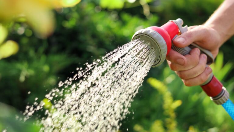How To Use the Different Spray Settings on Your Garden Hose