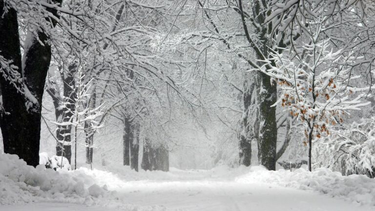 Steps You Should Take To Prepare for a Winter Storm